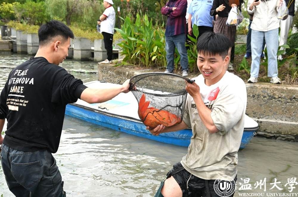 小孩们在水里的鱼 AI 生成的内容可能不正确。