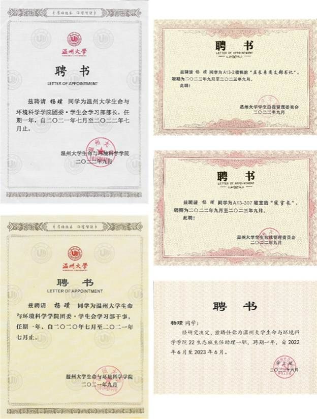 文本 AI 生成的内容可能不正确。