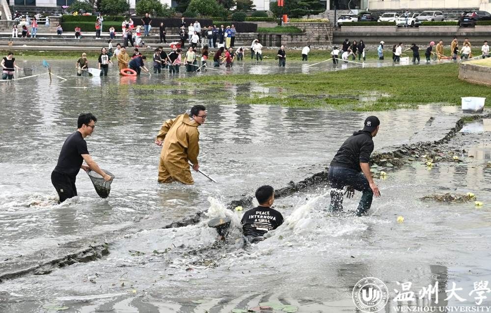 一群人在水里游泳 AI 生成的内容可能不正确。